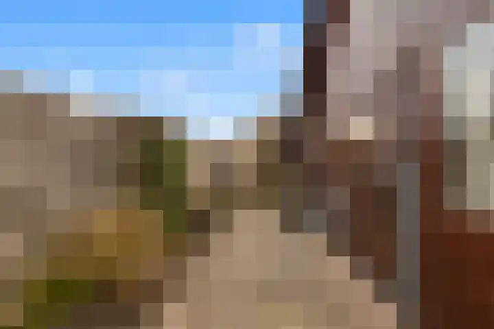 Zonnehoek 87 Vijfhuizen thumbnail 22