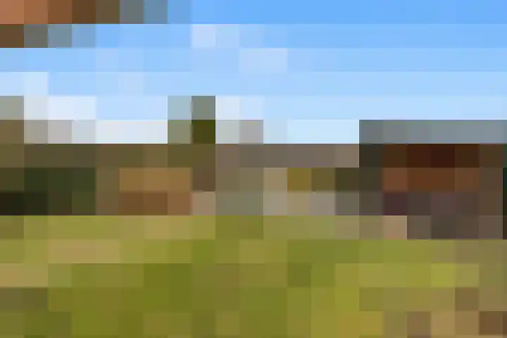 Zonnehoek 87 Vijfhuizen thumbnail 29
