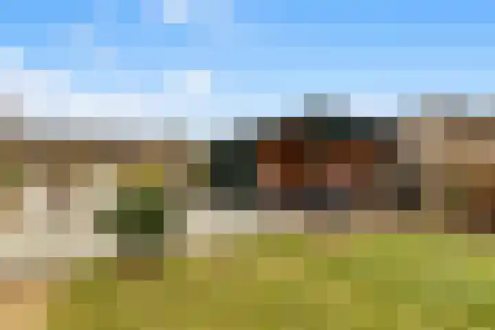 Zonnehoek 87 Vijfhuizen thumbnail 30