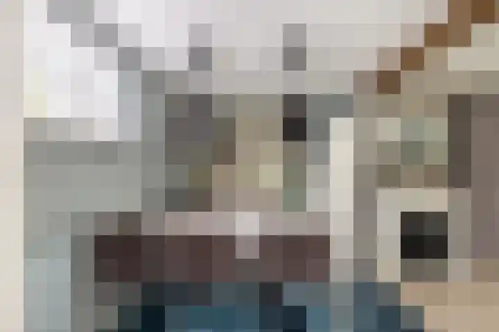 Zonnehoek 94 Vijfhuizen thumbnail 10