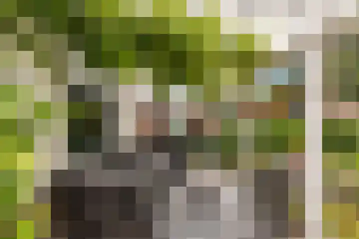 Zonnehoek 94 Vijfhuizen thumbnail 15