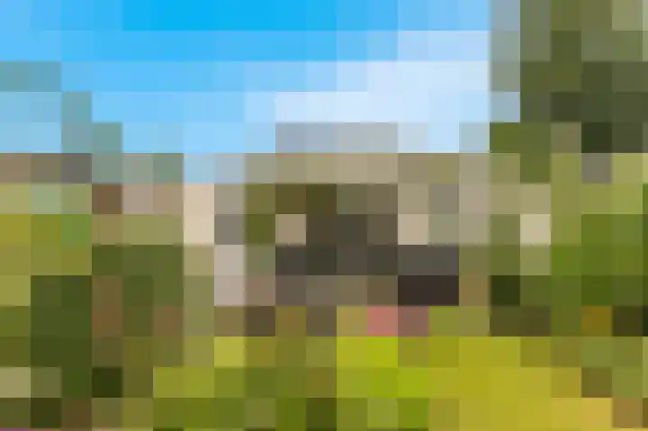 Zonnehoek 94 Vijfhuizen thumbnail 18
