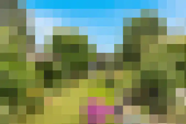 Zonnehoek 94 Vijfhuizen thumbnail 23