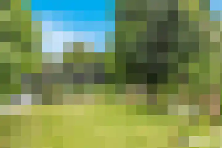 Zonnehoek 94 Vijfhuizen thumbnail 24