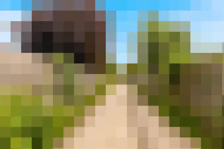 Zonnehoek 94 Vijfhuizen thumbnail 27