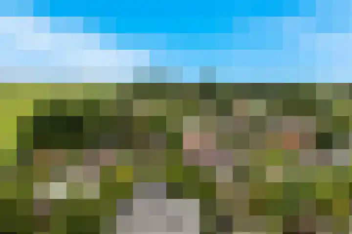 Zonnehoek 94 Vijfhuizen thumbnail 29