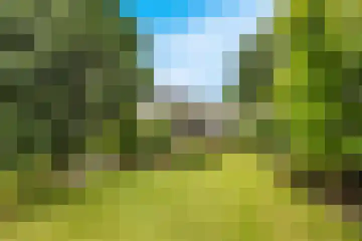 Zonnehoek 94 Vijfhuizen thumbnail 32