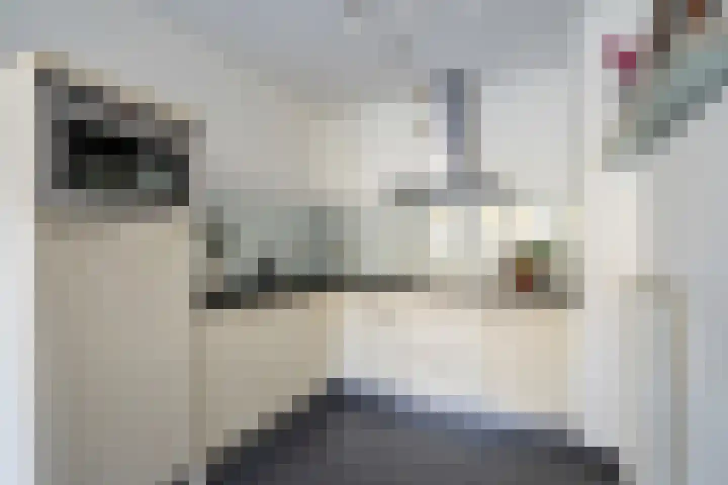 Zonnehof 111 Nootdorp thumbnail 10