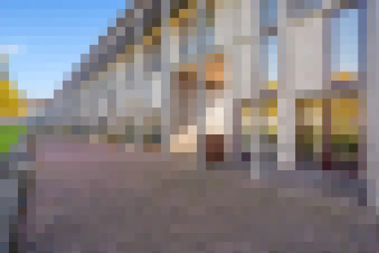 Zonnehof 111 Nootdorp thumbnail 12