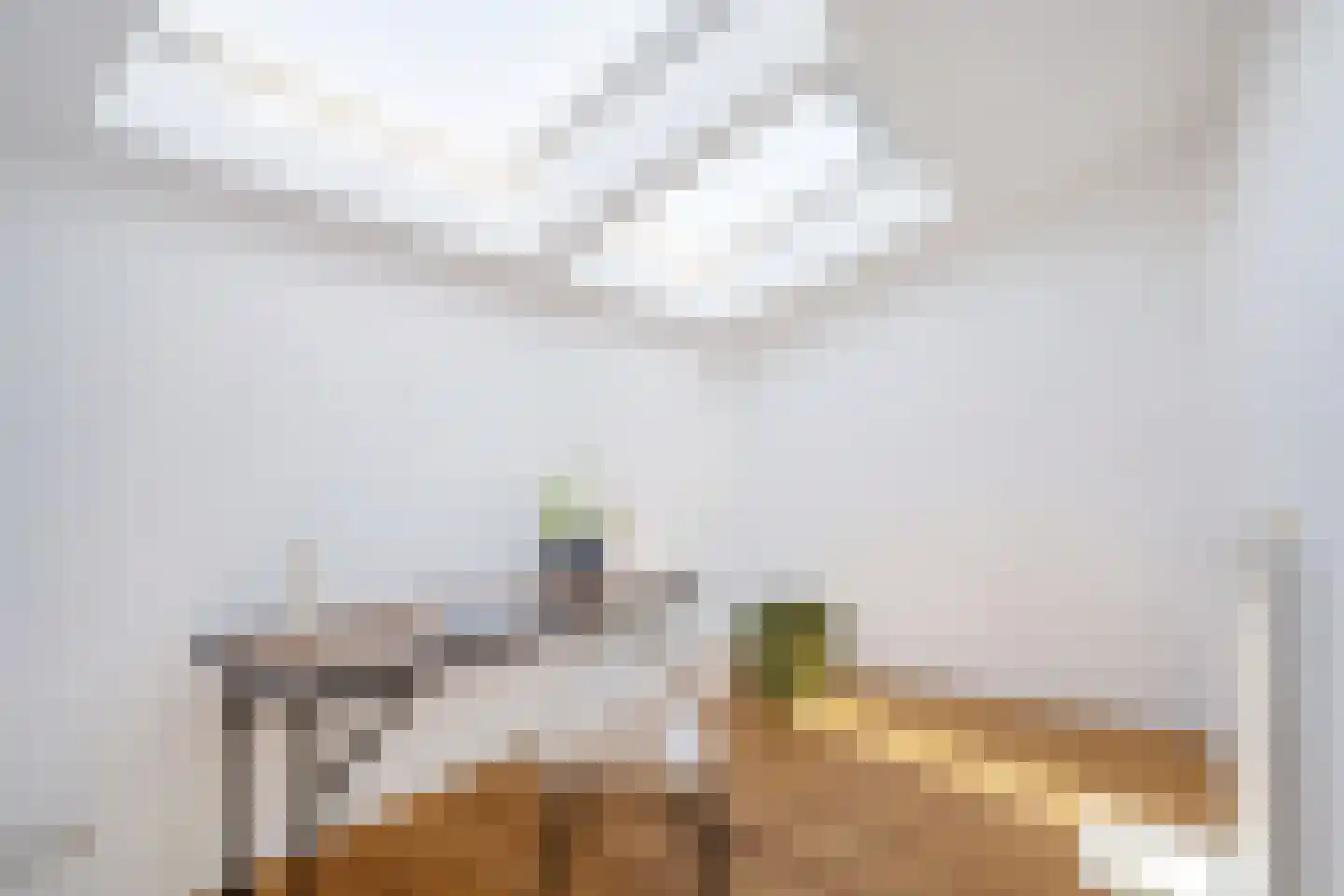 Zonnehof 111 Nootdorp thumbnail 30