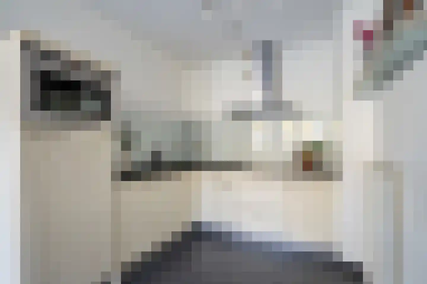 Zonnehof 111 Nootdorp thumbnail 4