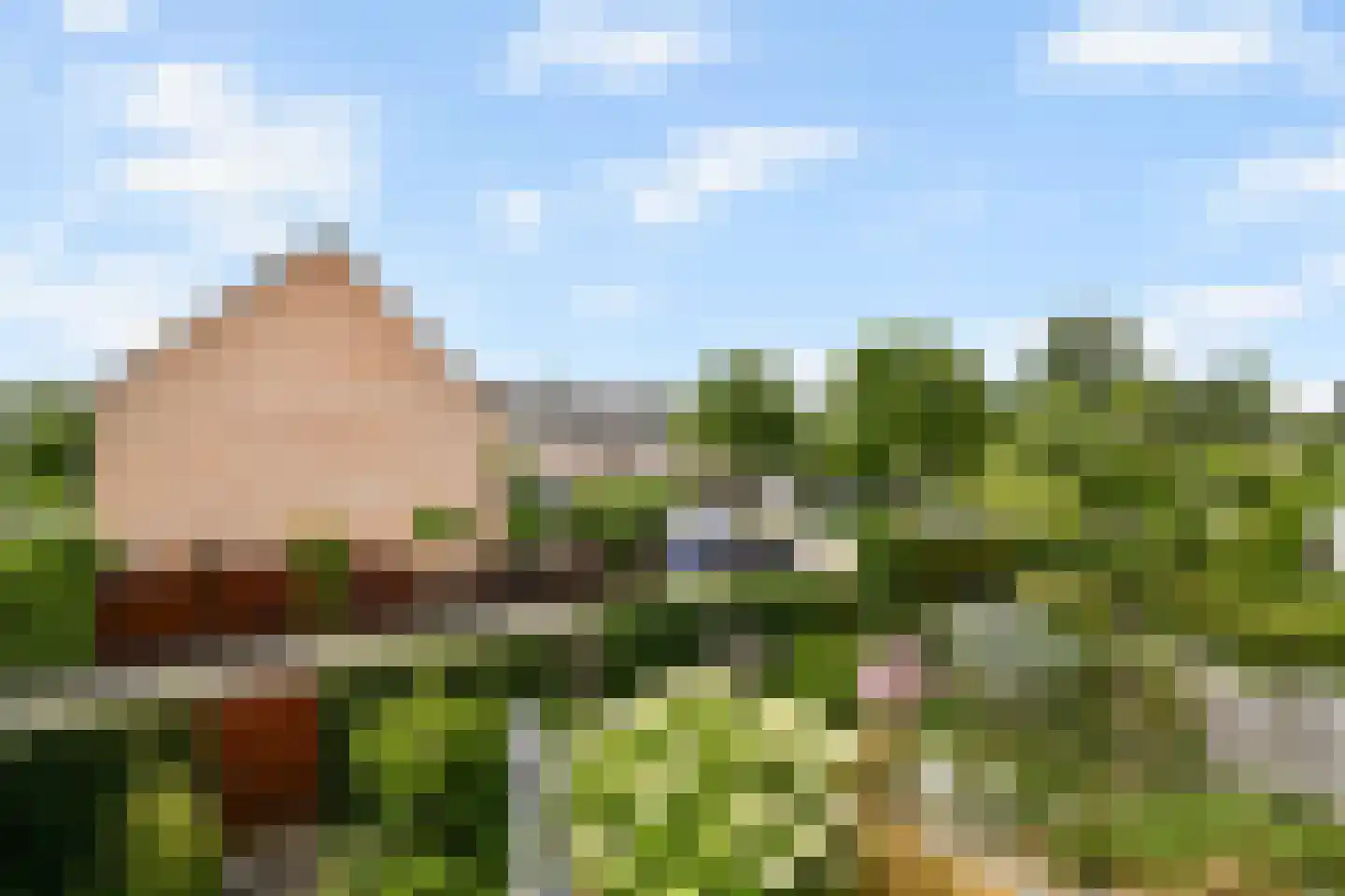 Zonnehof 14 Landsmeer thumbnail 19