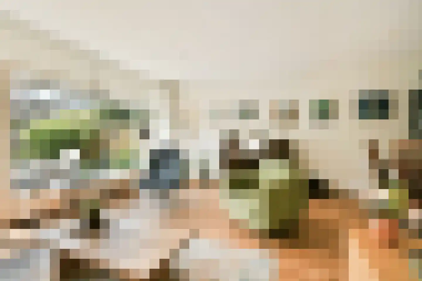 Zonnehof 14 Landsmeer thumbnail 7