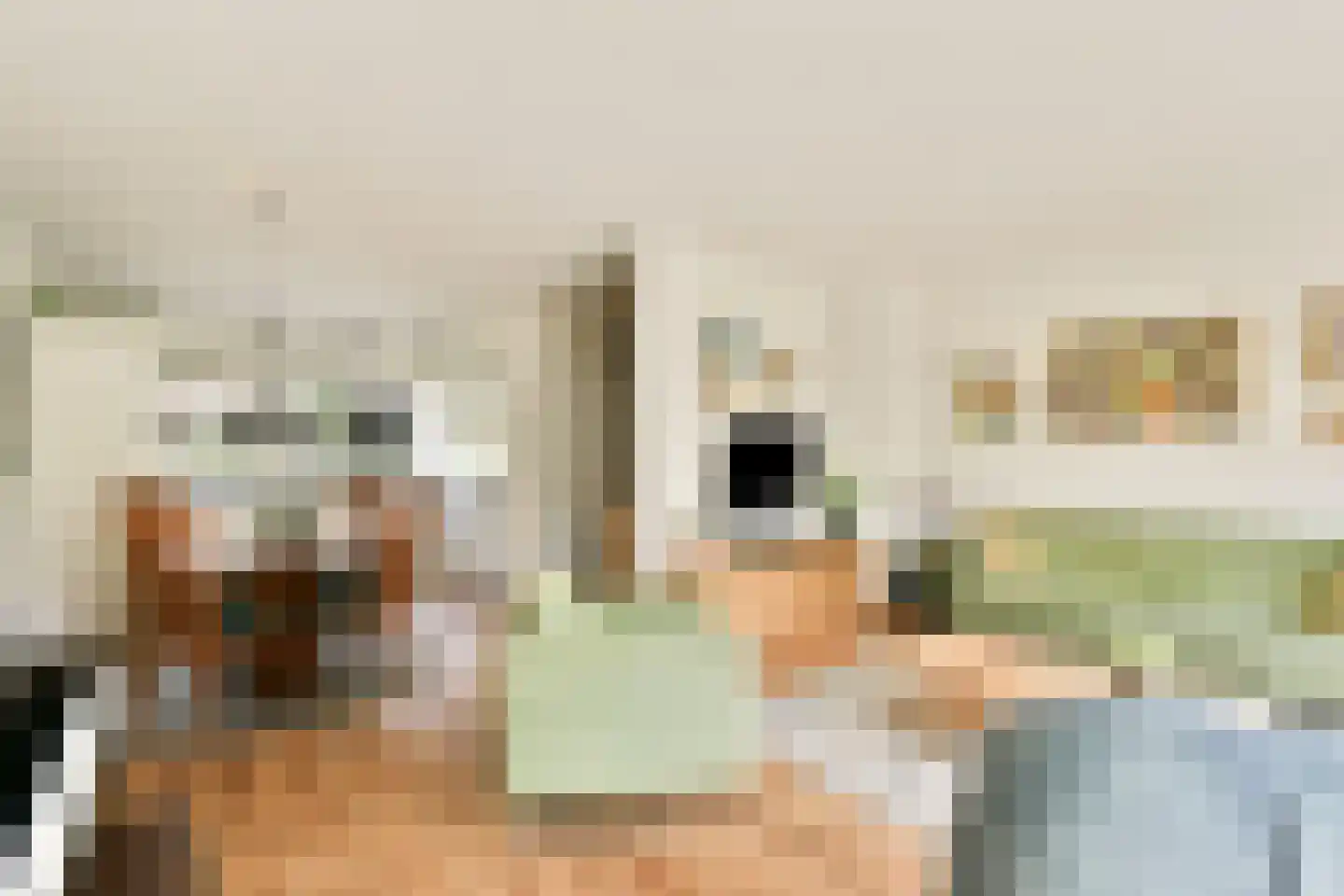 Zonnehof 14 Landsmeer thumbnail 8