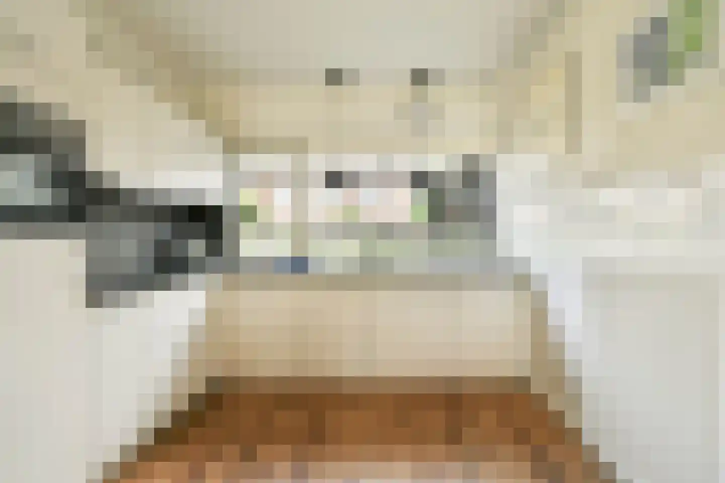 Zonnehof 14 Landsmeer thumbnail 9