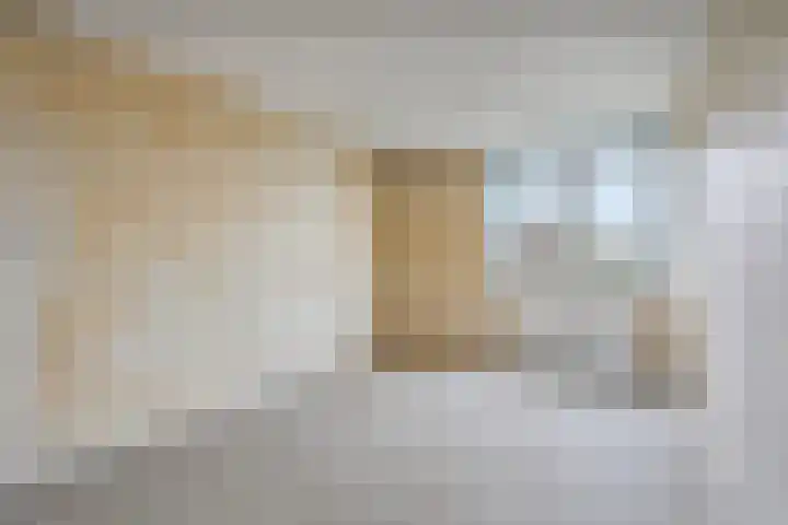 Zonnehof 15 Amsterdam thumbnail 13