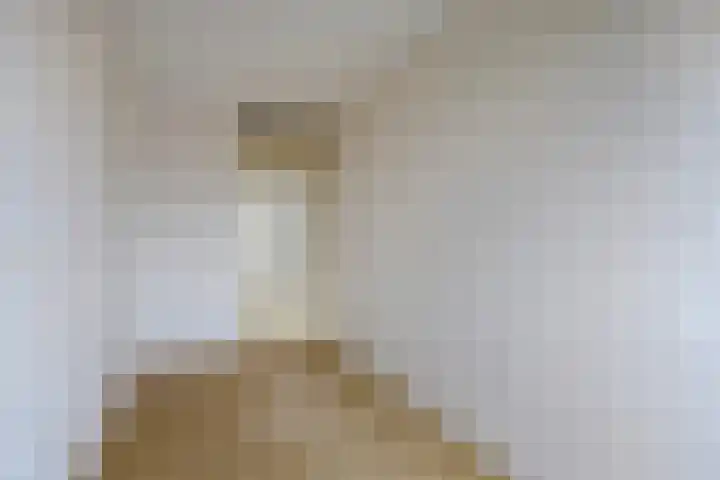 Zonnehof 15 Amsterdam thumbnail 17