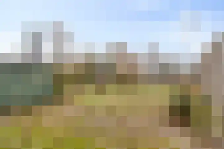 Zonnehof 15 Amsterdam thumbnail 23