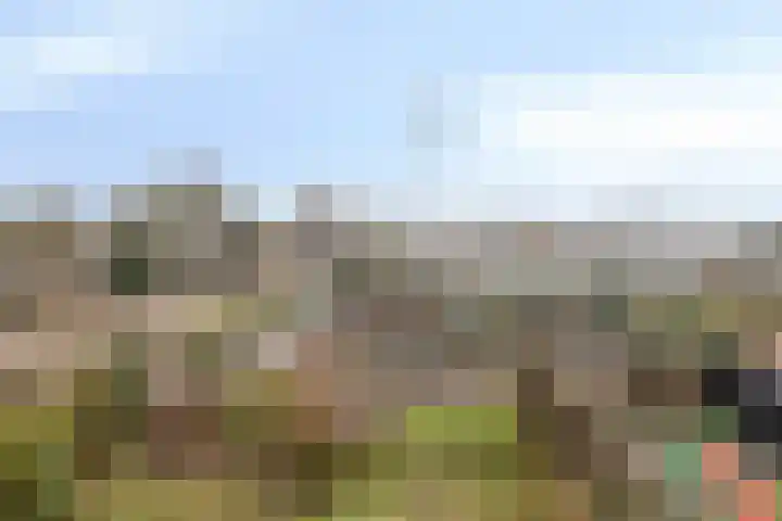 Zonnehof 15 Amsterdam thumbnail 24