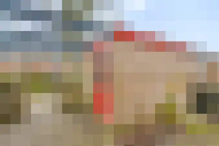 Zonnehof 15 Amsterdam thumbnail 25