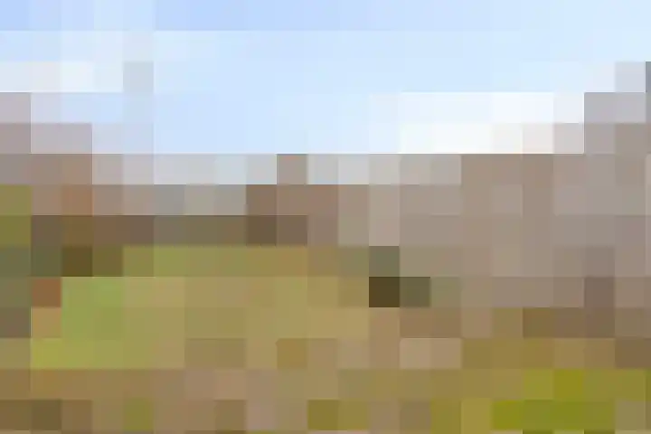 Zonnehof 15 Amsterdam thumbnail 4