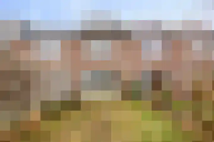 Zonnehof 15 Amsterdam thumbnail 5