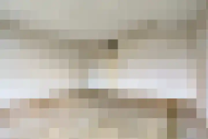 Zonnehof 15 Amsterdam thumbnail 8