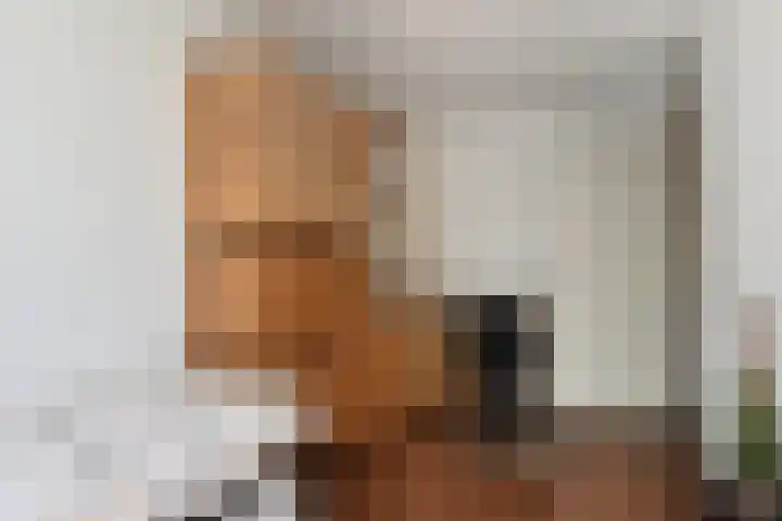 Zonnehof 153 Nootdorp thumbnail 13