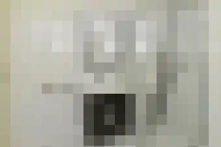 Zonnehof 153 Nootdorp thumbnail 16