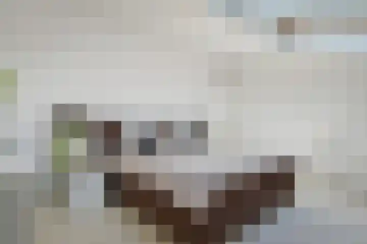 Zonnehof 153 Nootdorp thumbnail 28