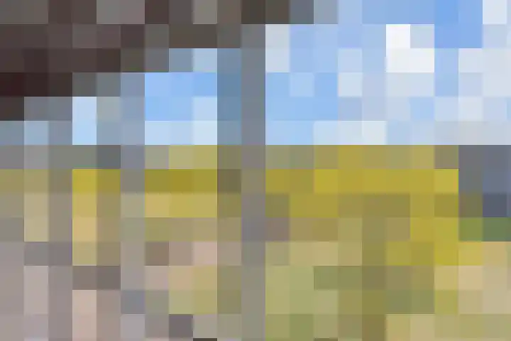 Zonnehof 153 Nootdorp thumbnail 30