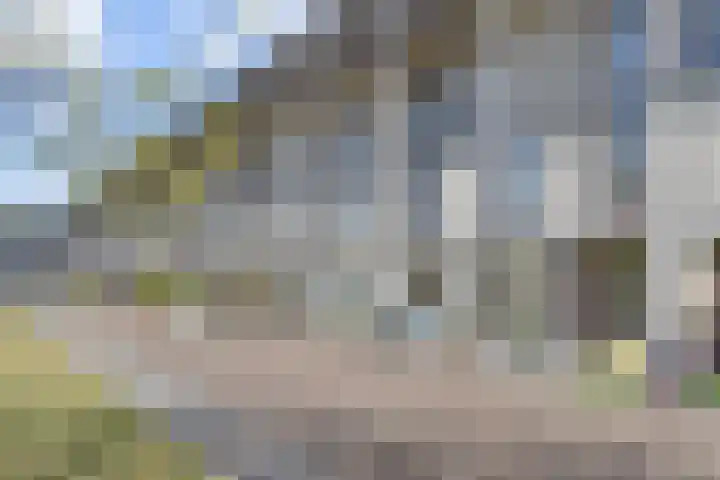 Zonnehof 153 Nootdorp thumbnail 37