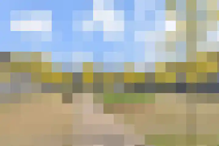 Zonnehof 153 Nootdorp thumbnail 38