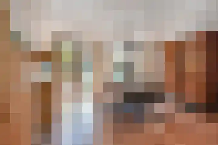 Zonnehof 153 Nootdorp thumbnail 4