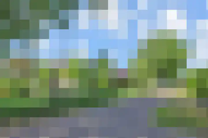Zonnehof 153 Nootdorp thumbnail 40