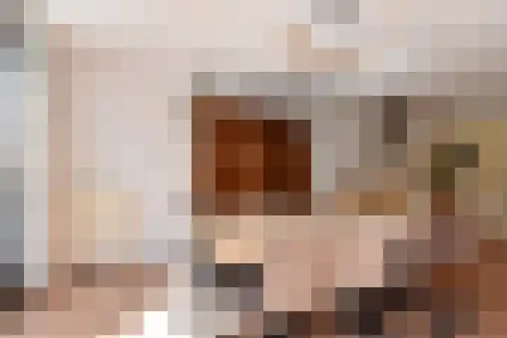 Zonnehof 153 Nootdorp thumbnail 6