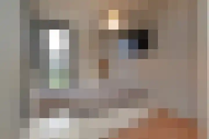 Zonnehof 158 Nootdorp thumbnail 25