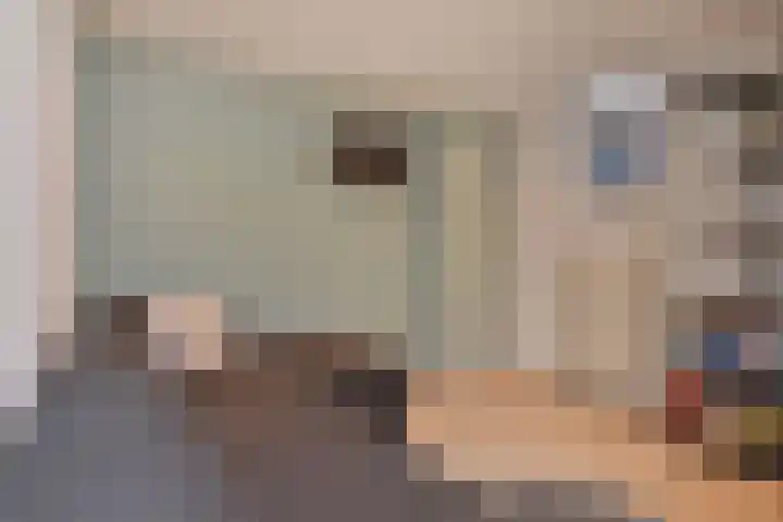 Zonnehof 158 Nootdorp thumbnail 30