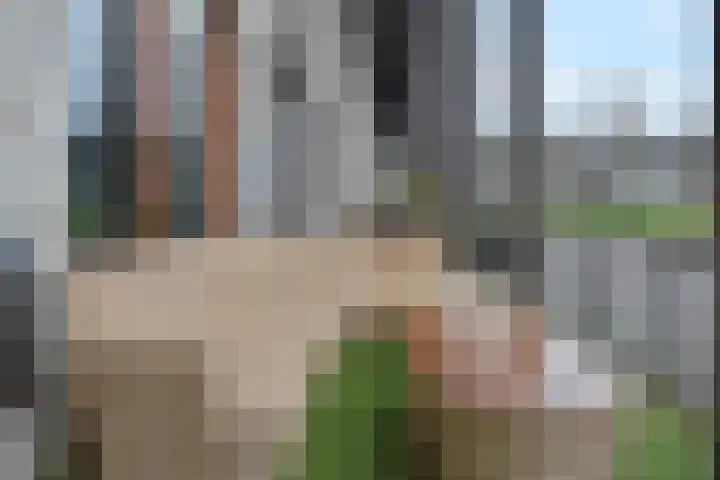Zonnehof 158 Nootdorp thumbnail 8