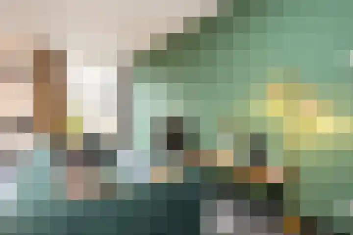 Zonnehof 162 Nootdorp thumbnail 16