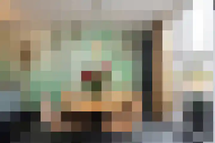 Zonnehof 162 Nootdorp thumbnail 19