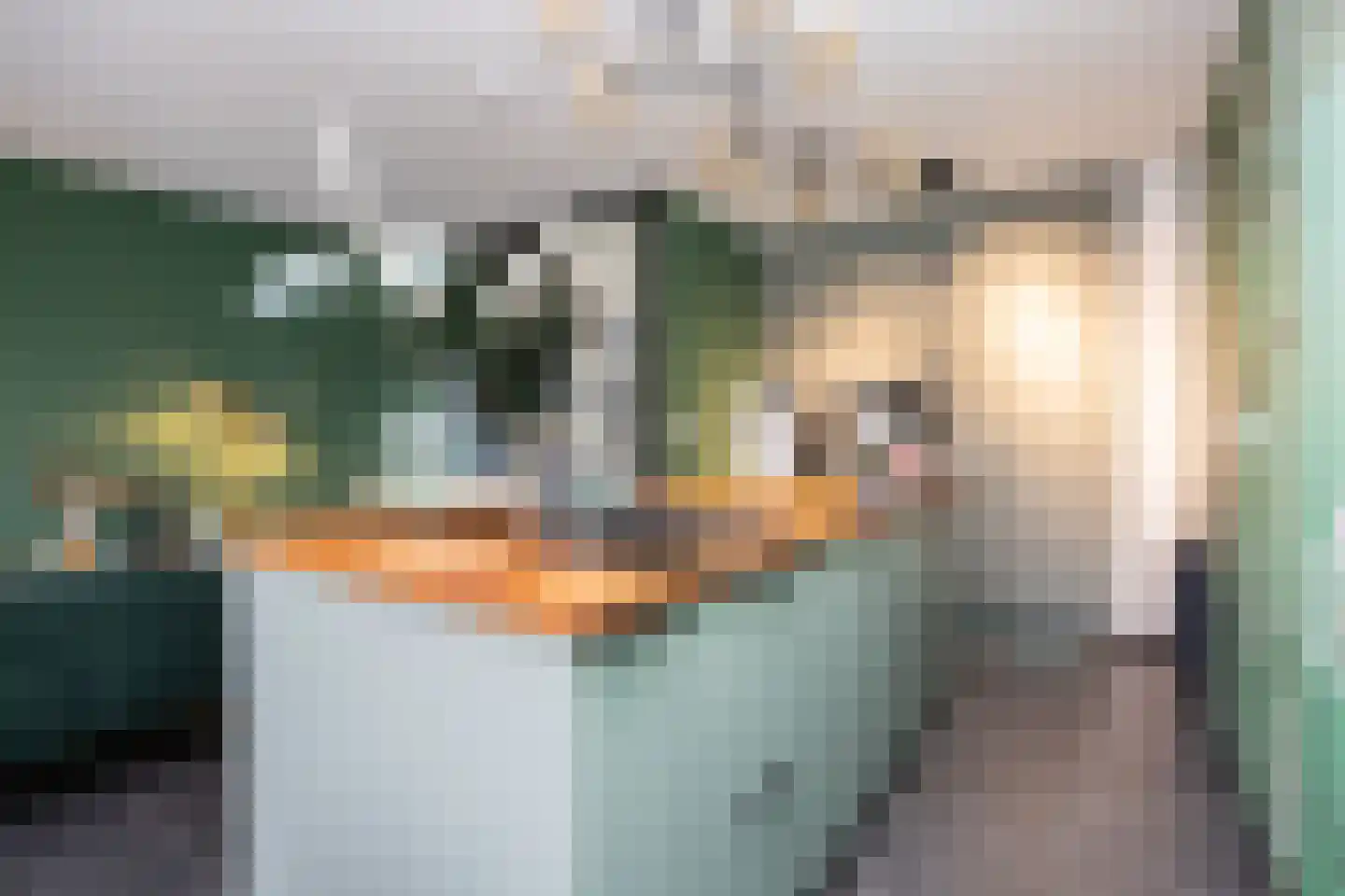 Zonnehof 162 Nootdorp thumbnail 24