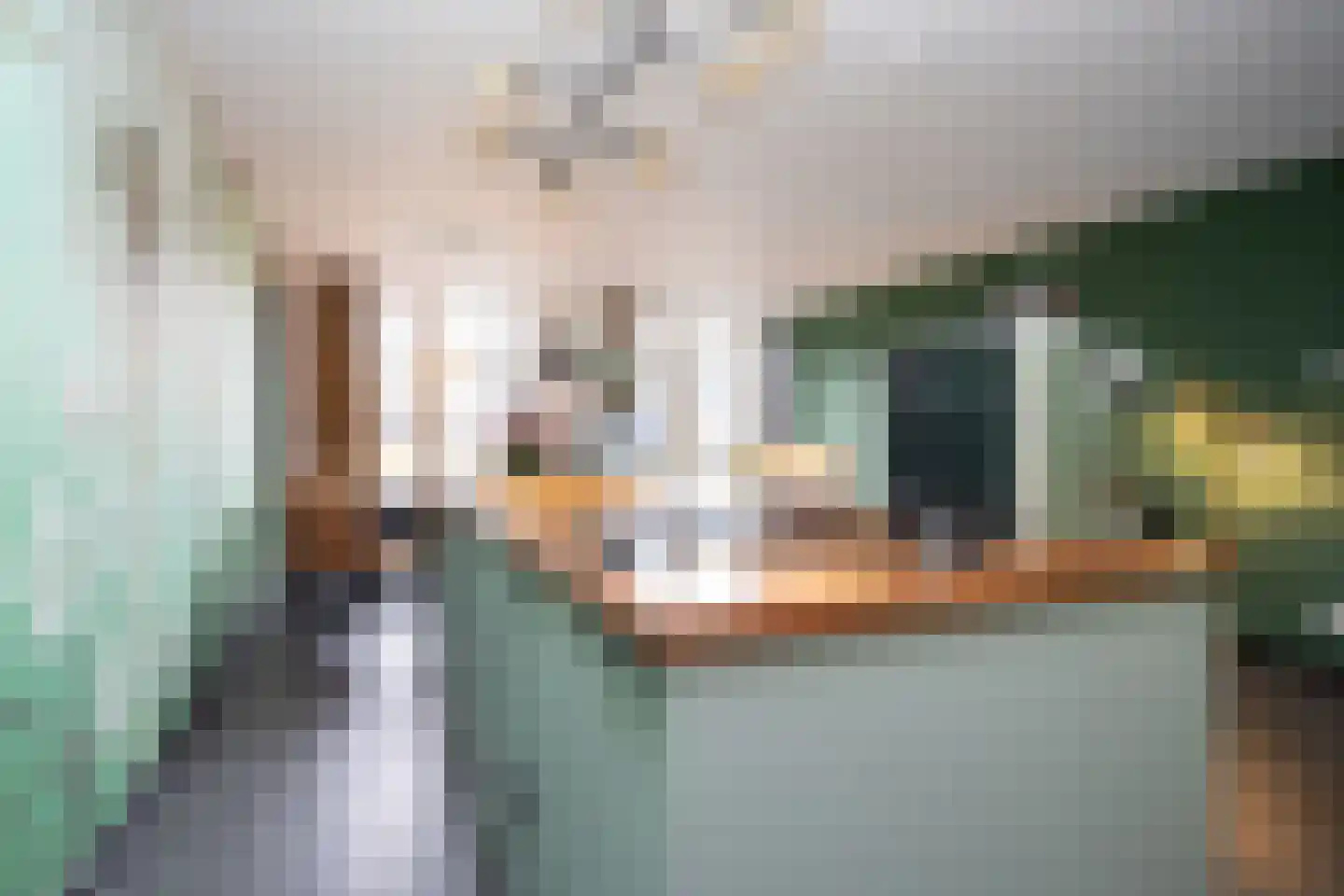 Zonnehof 162 Nootdorp thumbnail 25