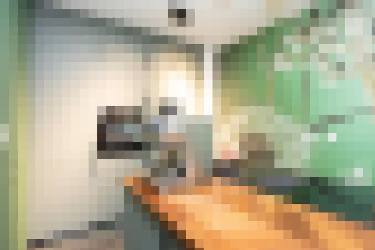 Zonnehof 162 Nootdorp thumbnail 27