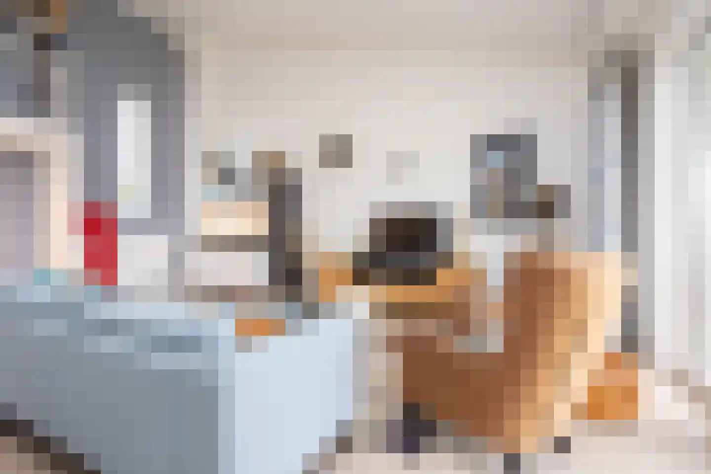 Zonnehof 162 Nootdorp thumbnail 31
