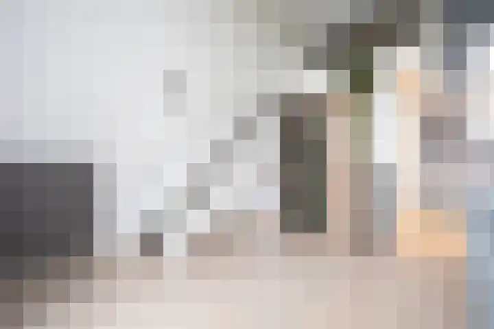 Zonnehof 162 Nootdorp thumbnail 36