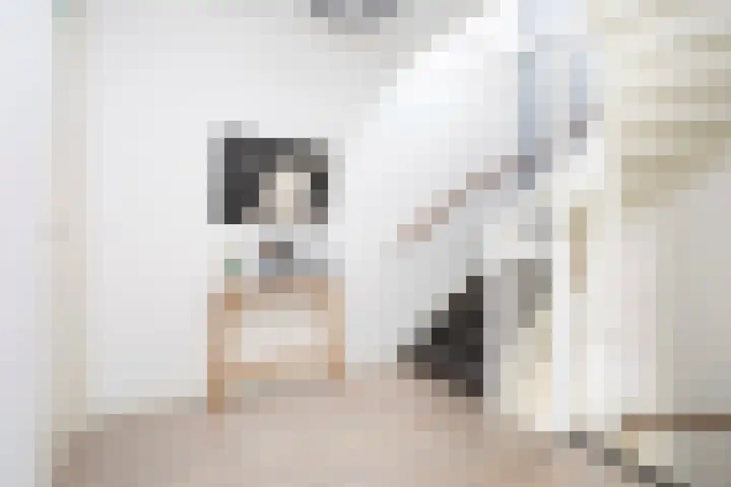 Zonnehof 162 Nootdorp thumbnail 41