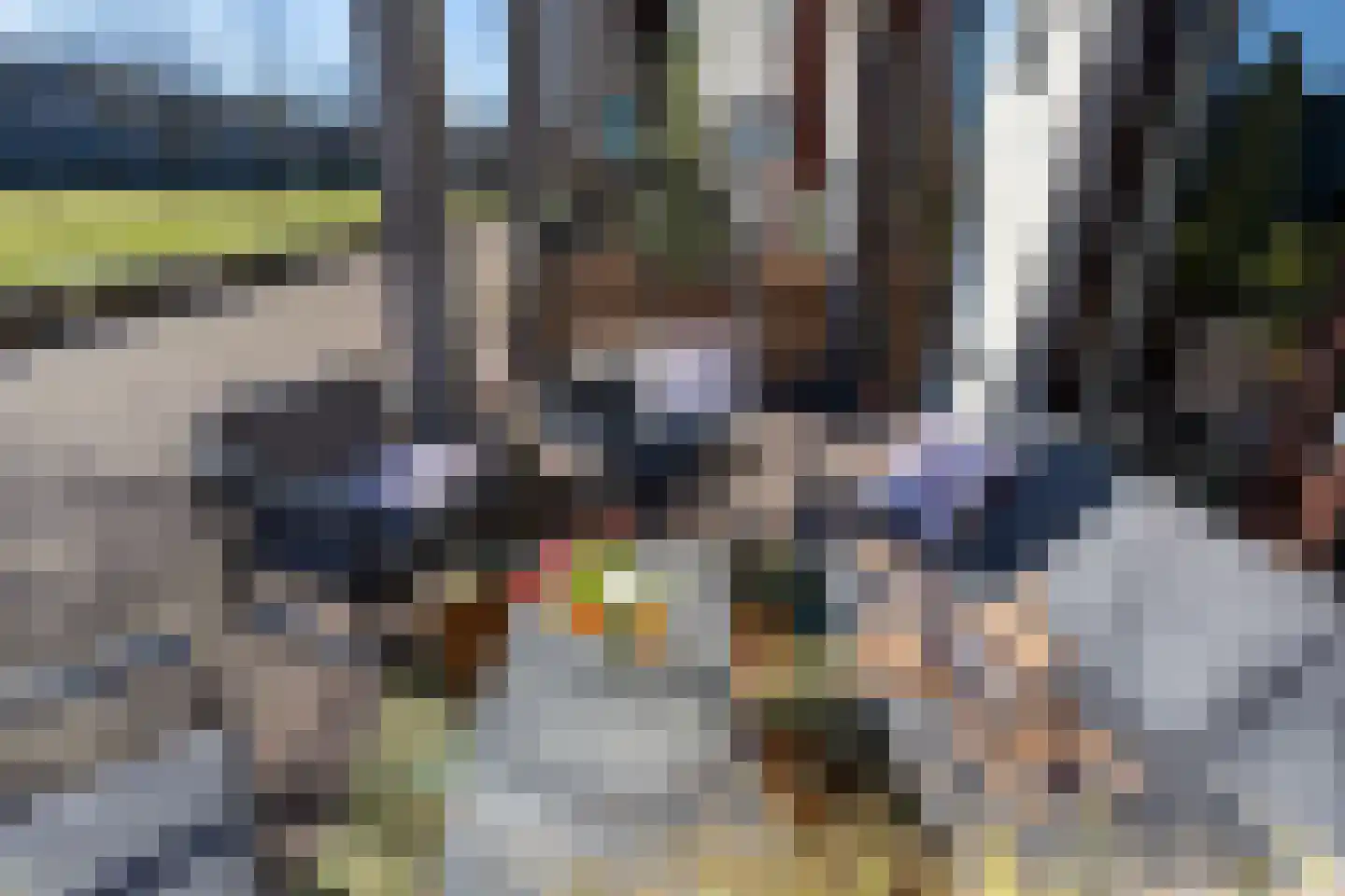 Zonnehof 162 Nootdorp thumbnail 7