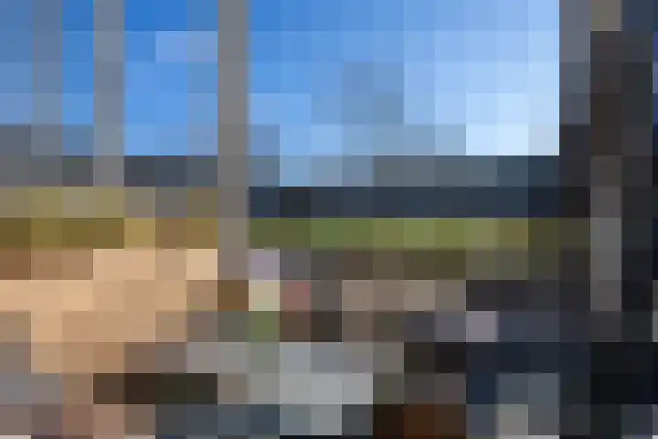 Zonnehof 162 Nootdorp thumbnail 8