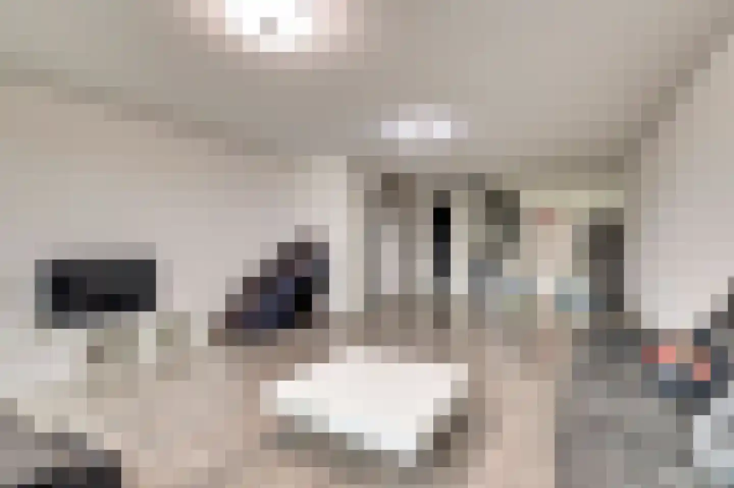 Zonnehof 189 Nootdorp thumbnail 11